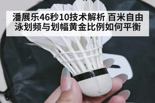 潘展乐46秒10技术解析 百米自由泳划频与划幅黄金比例如何平衡